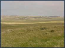 Land and Cattle