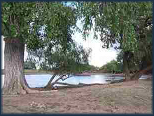 Trestle Lake Farm